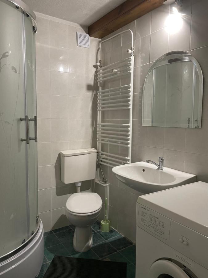 5Min Airport Apartment Surcin Exterior photo