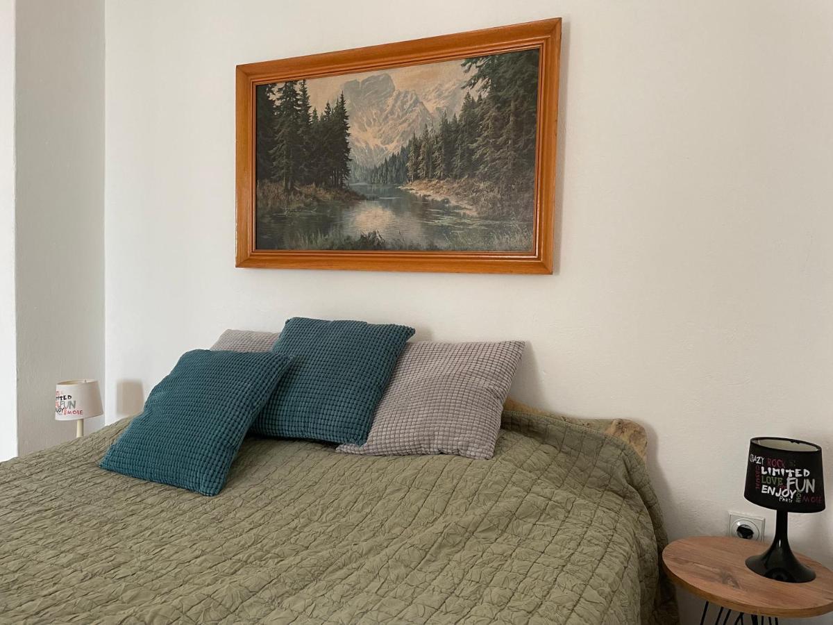 5Min Airport Apartment Surcin Exterior photo