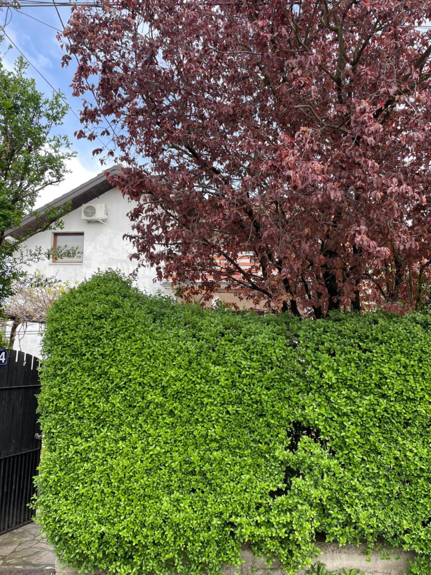 5Min Airport Apartment Surcin Exterior photo